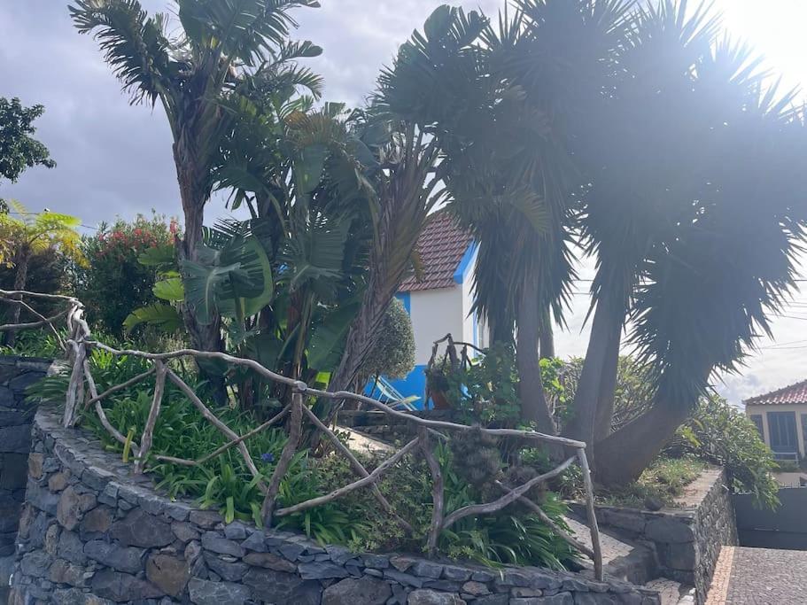 Lucky Lemons Boutique Houses Madeira 1 Calheta  Extérieur photo