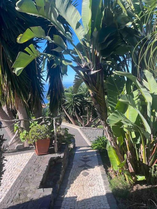 Lucky Lemons Boutique Houses Madeira 1 Calheta  Extérieur photo
