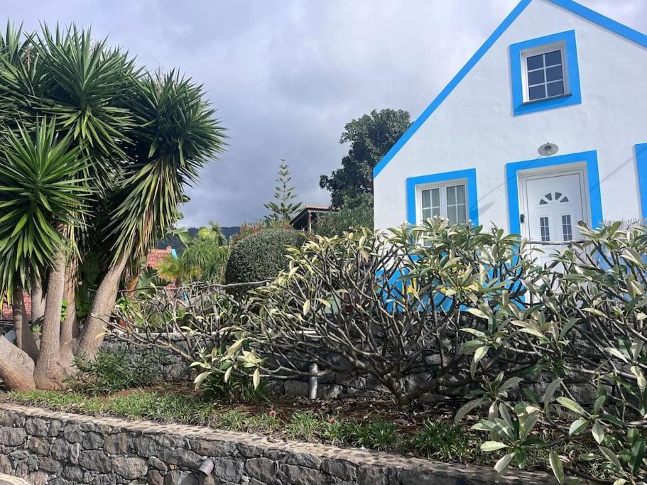 Lucky Lemons Boutique Houses Madeira 1 Calheta  Extérieur photo